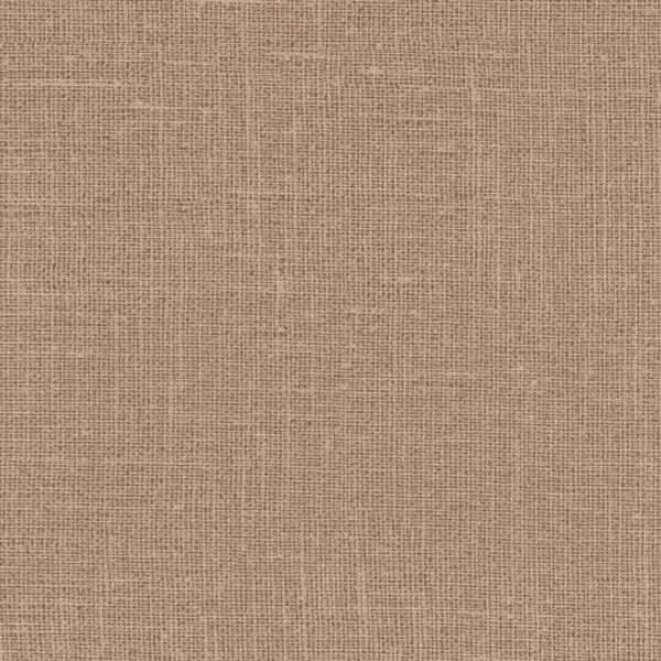 tapeta winylowa  PALLIDA PL.03 - ARTIUM 100,0 x 137,0cm